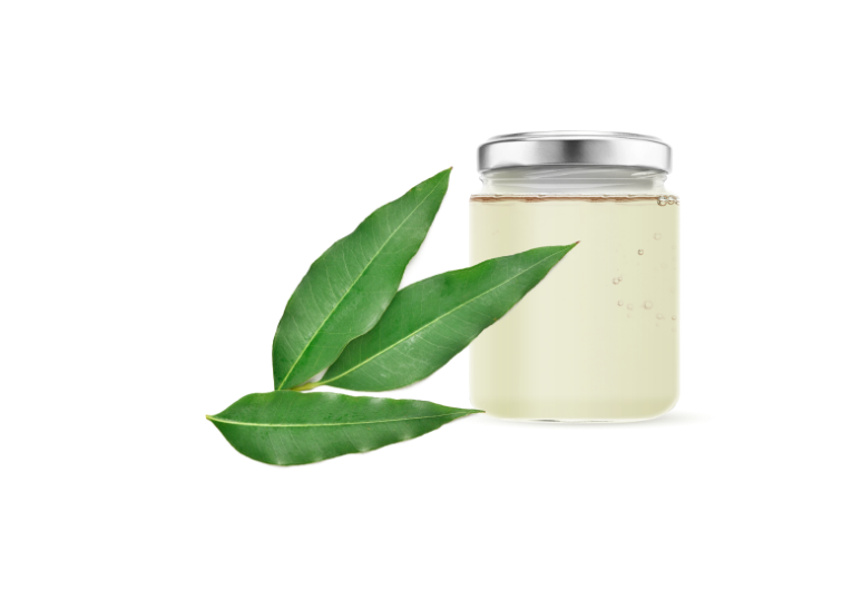 Eucalyptus Oil