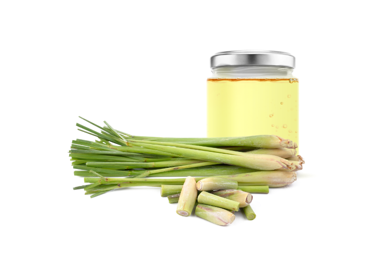 Lemongrass Oil