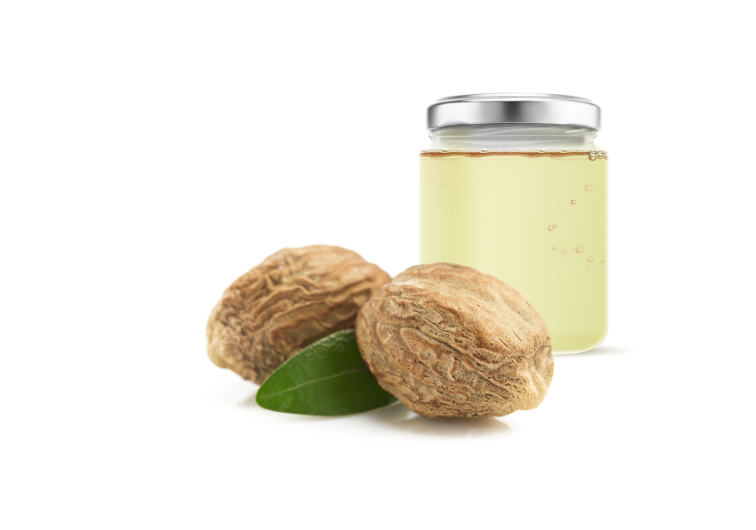 Nutmeg oil