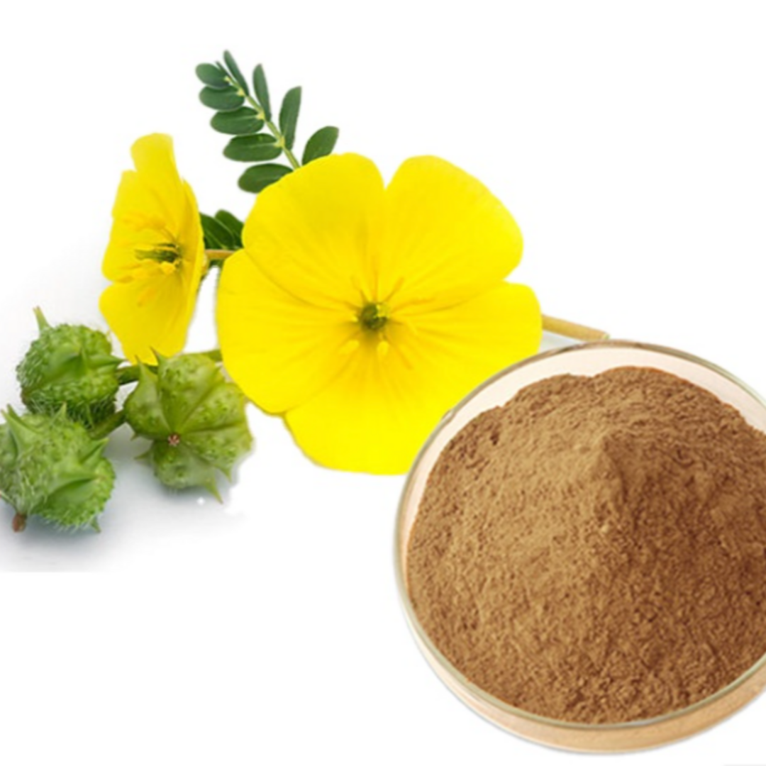 Tribulus Extract